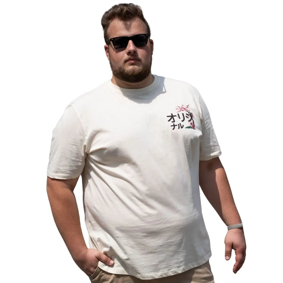 Velké pánské trička s krátkým rukávem trička s velkým potiskem na zádech 3 kusy Jack &amp; Jones 12285075 multi