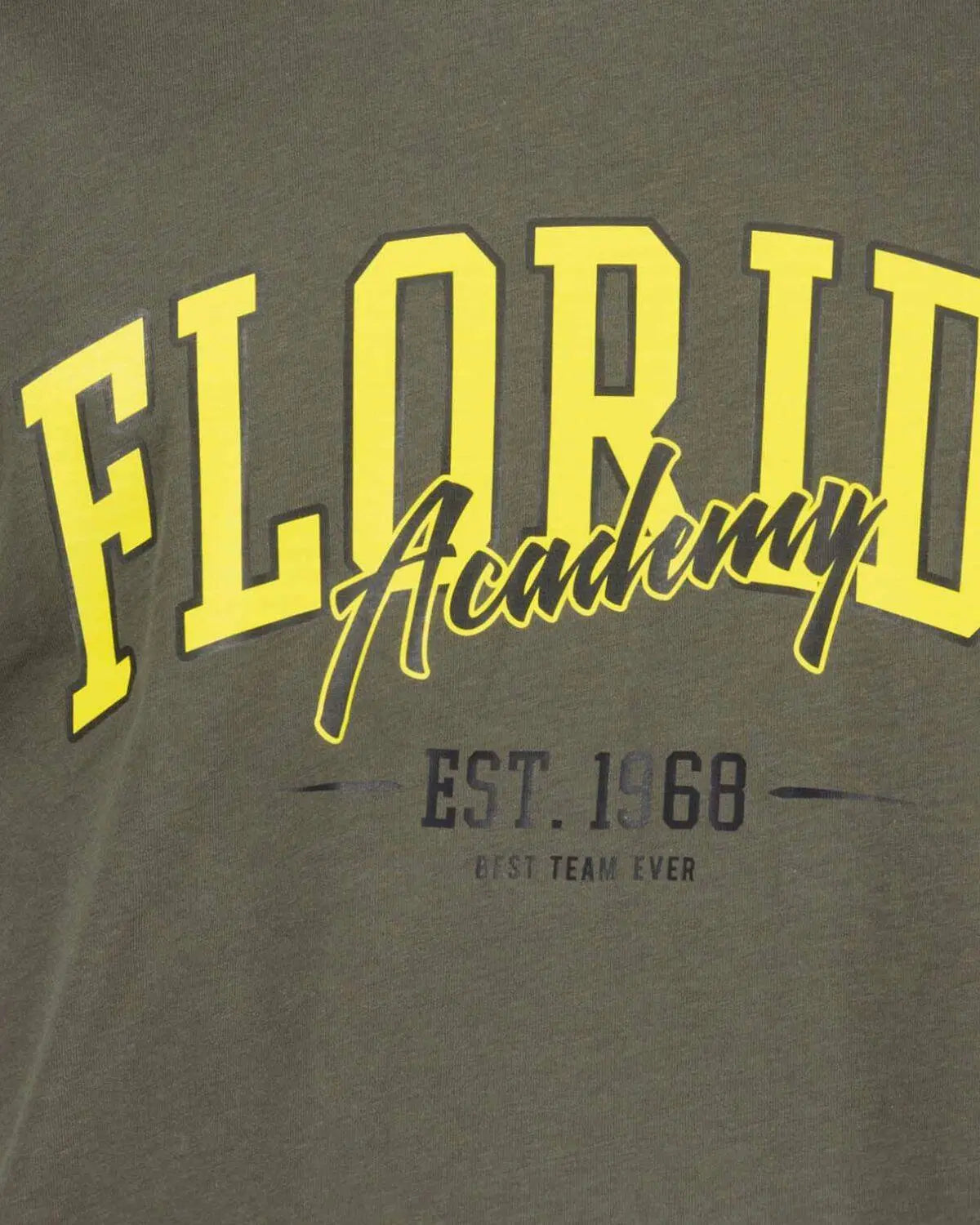 Velké pánské tričko s potiskem Florida Adamo 131613-430 khaki