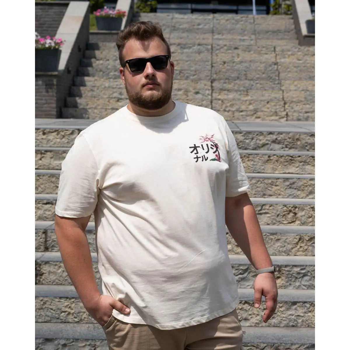 Velké pánské trička s krátkým rukávem trička s velkým potiskem na zádech 3 kusy Jack &amp; Jones 12285075 multi